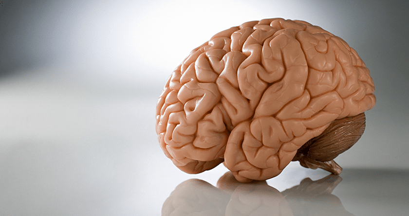 Où en est la recherche sur le cerveau et ses maladies ?